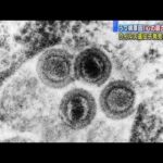 うつ病は「心の弱さからくる病気ではない」専門家(2020年10月3日)