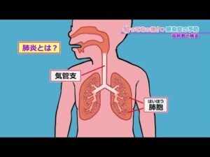 【中高年の感染症】高齢者と肺炎「知ってなっ得！感染症の予防＃９その１」