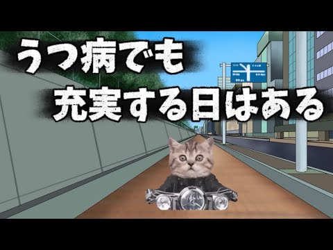 【猫ミーム】うつ病だけど一日充実できた日