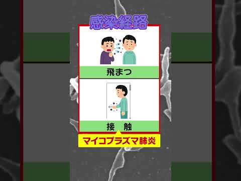 【歩く肺炎が猛威】「マイコプラズマ肺炎」患者数が去年の４１倍で過去最多　症状消えても感染力あり…風邪との違いは？#shorts #マイコプラズマ肺炎 #肺炎