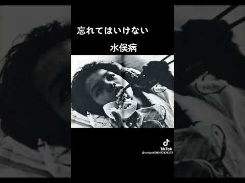 絶対忘れないてはいけない【水俣病】