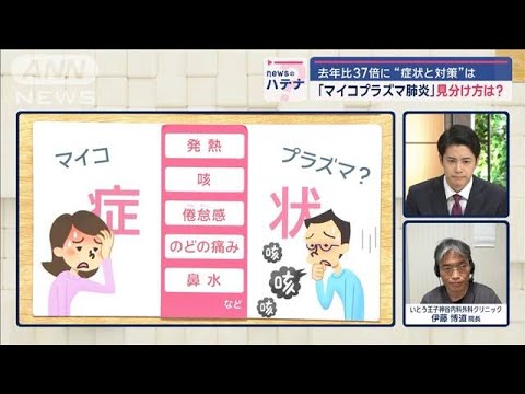 マイコプラズマ肺炎の見分け方 「3日目の咳がポイント」 医師が解説する症状と対策【スーパーJチャンネル】(2024年10月2日)