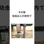 【奇病】実在する辛すぎる病気 #雑学 #病気