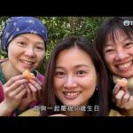醫生，你有病?｜生命倒數之際，一齊慶祝50歲生日是她們的目標｜TVBUSA｜方東昇｜黃曉瑩｜李嘉嘉｜手外科醫生｜黃詠儀